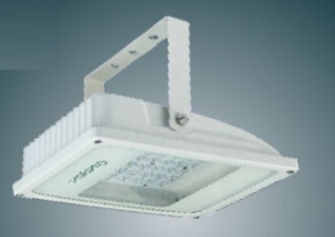 Crompton LED Under Canopy LCNP-80-CDL/60-M
