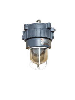 Ideal Flameproof LED Wellglass IFW60